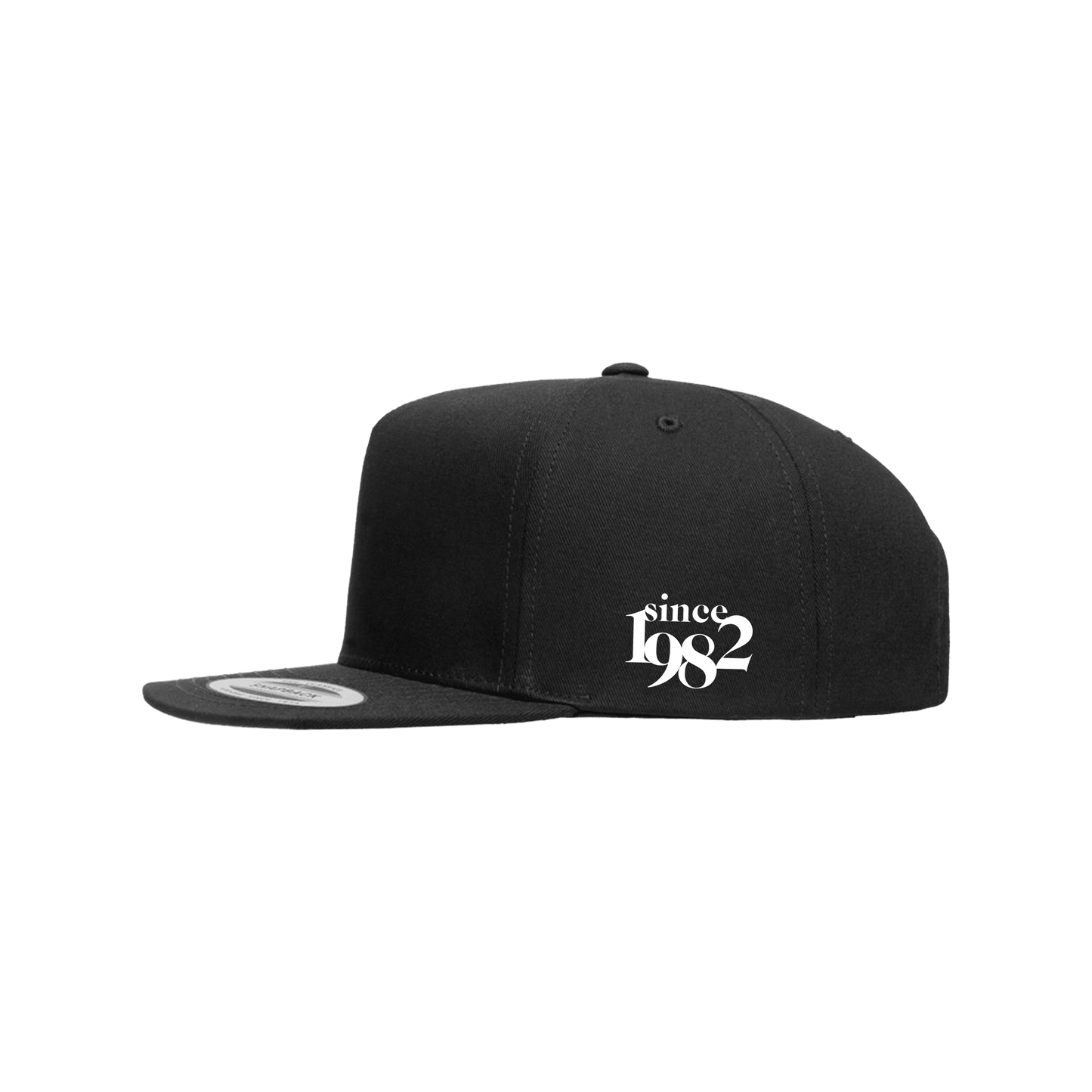 Since NY Records Snapback
