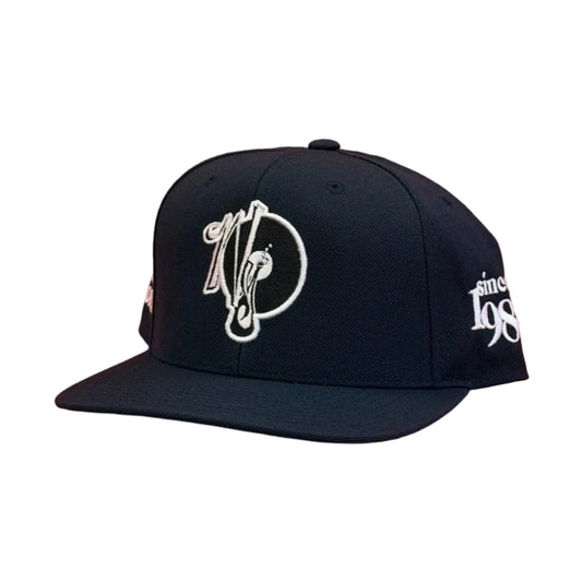 Navy Since NY Records Snapback