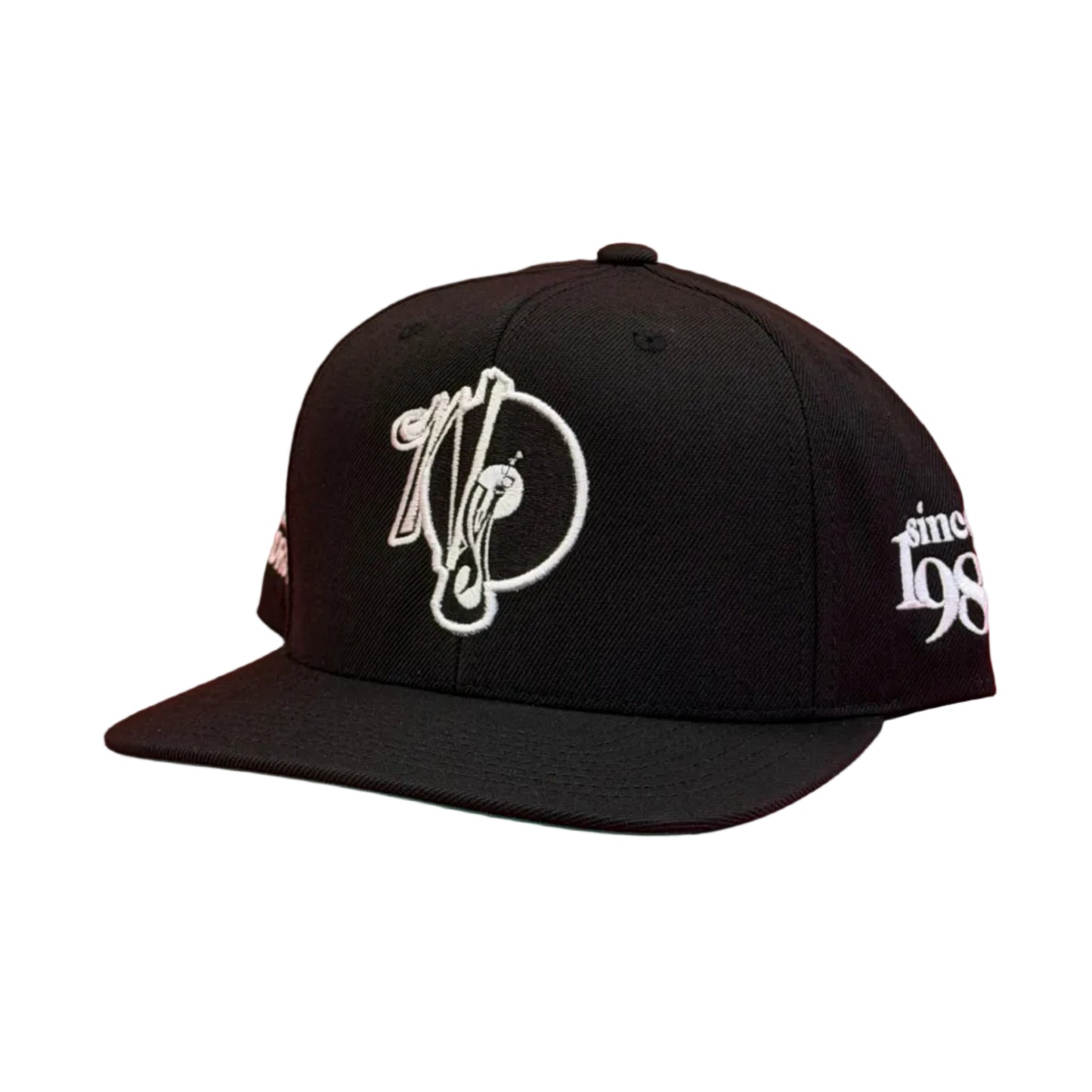 Since NY Records Snapback