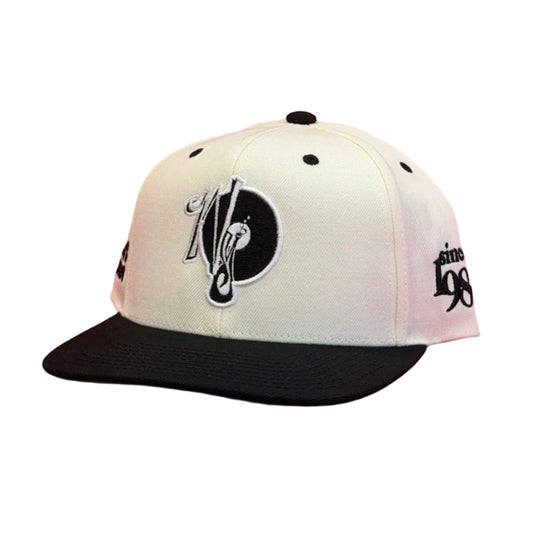 2 Tone Since NY Records Snapback